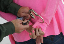 Ущерб в $2 млн. В Бишкеке суд отпустил основательницу финансовой пирамиды