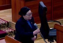 Депутат: Должникам по алиментам нужно запретить выезжать из страны