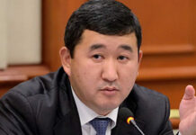 Темирбек Ажыкулов: ЕАЭБге кирген өлкөлөргө Орусия экспортту тыйганы туура эмес