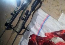 В Джети-Огузе задержали бишкекчанина, застрелившего горного козла