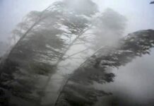 В Бишкеке ветер снес крышу роддома №1