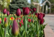 Кыргызстанцы, возможно, отдохнут с 1 по 9 мая