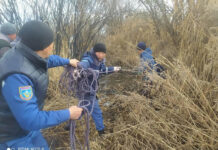 Нарында 66 жаштагы жарандын сөөгү аты менен бирге саздан табылды