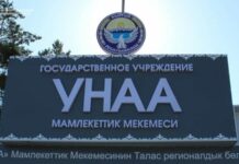 “Унаа” мекемеси мамлекетке 7 миллион 803 миң 165,01 сом зыян келтирген