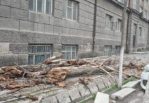 Бишкекте тратуарга бак кулап түштү