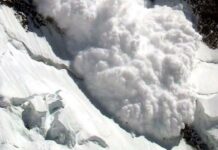 Кар көчкү 3 сарайды мал жандыктары менен кошо басып калган