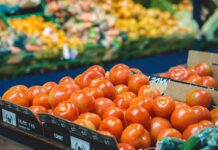 Кыргызстандан Россияга жашылча-жемиш азыктарын экспорттоо башталат