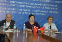 Кыргызпатенттин директорунун Кытай улуттук интеллектуалдык менчик мекемесинин комиссары менен онлайн жолугушуусу болуп өттү