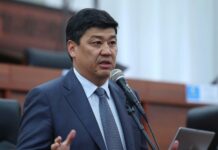 Вагоны с пшеницей, сахаром и маслом для Кыргызстана простаивают на границе РФ и РК, — депутат