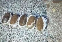 Спецслужбы Кыргызстана и Узбекистана задержали членов наркогруппировки. ФОТО