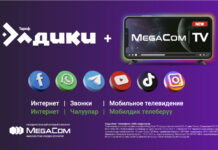 Встречайте новую линейку тарифов «Элдики + MegaCom|TV» от MegaCom!