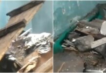 Бишкекте курулуп жаткан көп кабаттуу имараттын дубалы кулап, жанындагы турак үйдү басып калды