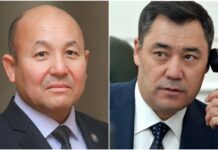 Журналисты Temirov Live нашли еще одного родственника президента на высокой должности