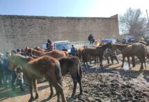 Сокулук районунда алдын алуу иштери улантылууда