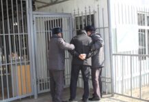 Таласта унаанын планшетин уурдап, издөөдө жүргөн жаран кармалды