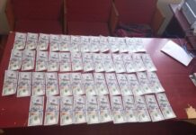 Жасалма АКШ долларын сатууга аракеттенген 2 жаран колго түштү