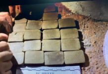 ИИМ: Бир тууган иниси үчүн салым катары баңгизат алып бараткан жаран кармалды