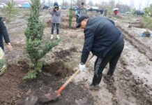 Посади свое дерево. В Бишкеке стартует зеленая акция