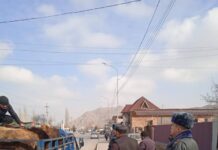 Кадамжай районунда “Бандит” иш-чарасы өтүп, мал уурулук боюнча 16 фактынын бети ачылды