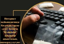 Интернет мейкиндигинде баңгизаттарды сатуу боюнча 30 онлайн-дүкөндөр аныкталып, ишмердүүлүгүнө бөгөт коюлду