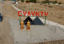 Сүлүктү шаарында чек арадан мыйзамсыз өткөн жаран кармалды