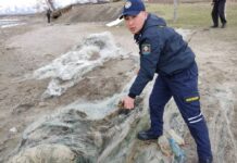 Экологиялык милициянын кызматкерлери эки браконьерди аныкташты