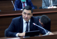 Государство поможет некоторым заемщикам долларовых кредитов, — Амангельдиев