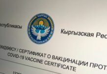 13 стран признали сертификаты о вакцинации против COVID Кыргызстана. Список