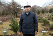 Президент: В Кыргызстане ежегодно планируется высаживать 5-6 млн саженцев