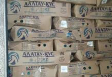 Кыргызстанга 22 миң кг тоок этин мыйзамсыз алып кирүү аракети көрүлгөн