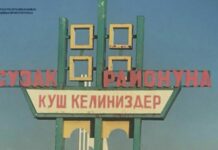 Кызыл-Туу айыл өкмөтүнүн мурдагы башчысы камакка алынды