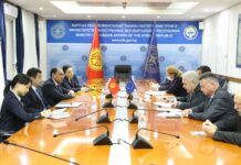 Замглавы МИД КР обсудил с послами европейских стран ситуацию в Украине