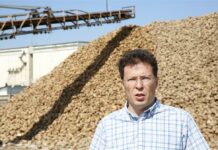 Руслан Рафибеков: Кыргызстанда шекердин запасы эки-үч айга кепилдиги менен кенен жетет