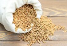 Россия ввела запрет на экспорт зерновых в страны ЕАЭС и сахара в третьи страны