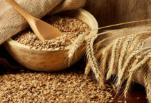 Муфтият Кыргызстана определил размер фитр-садака на 2022 год