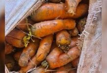 “Түштүк-Батыш” бажысында аткезчилик товар аныкталды