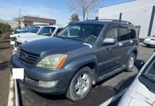 «Унаа» мамлекеттик мекемесинин Ош шаардык бөлүмүнүн адиси А.М.М. кармалды