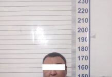 Жайыл районунда алдамчылыкка шектүү кармалды