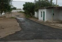 Өзбекстанда президентти тосуп алуу үчүн асфальт баткактын үстүнө төшөлдү