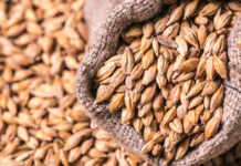 Россия сняла запрет на вывоз зерновых в страны ЕАЭС