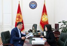 Садыр Жапаров министр Динара Кутманованы кабыл алды