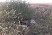 В селе Ынтымак пропавшую 22-летнюю девушку нашли мертвой