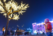 29 апреля в Бишкеке отметят День города. Какие мероприятия запланированы?