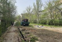 В мэрии Бишкека прокомментировали вырубку деревьев на улице Сыдыкова