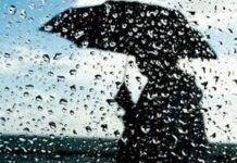 Таажы вирусу бүгүн табылган жок