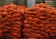 Жалал-Абадда үч киши сабиз сактаган кампадагы иске ууланып каза болду