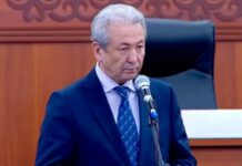 Депутат: Вместо резиденции нельзя построить детские сады, школы? Или президенту негде сидеть?