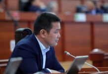 Депутат Айбек Алтынбековдун сууну токтотууну сунуштаган билдирүүсүнө Казакстандын Вице-премьер-министри жооп берди