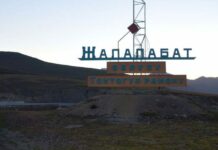 В Джалал-Абадской области произошло землетрясение силой в эпицентре 5 баллов