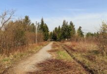 Ботсад предложили передать на баланс мэрии Бишкека. Депутаты выступили против